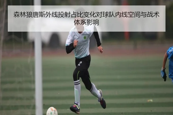 森林狼唐斯外线投射占比变化对球队内线空间与战术体系影响